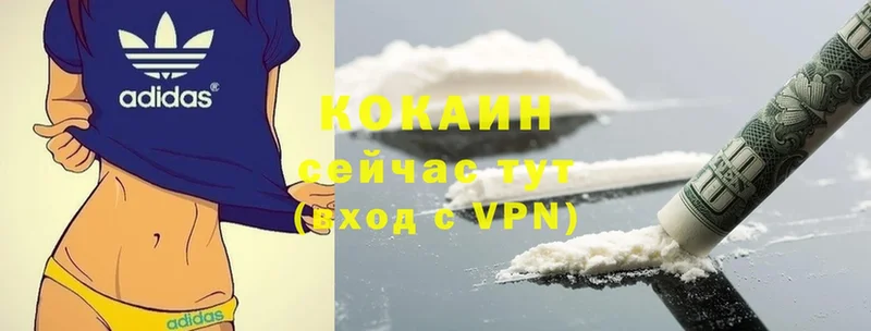 COCAIN FishScale  MEGA tor  Кудымкар 