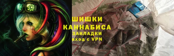 индика Нефтекумск