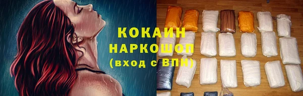 индика Нефтекумск