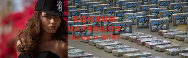 гидра Новозыбков