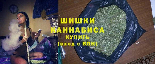 гидра Новозыбков