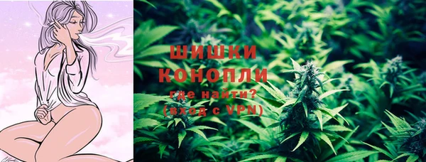 индика Нефтекумск