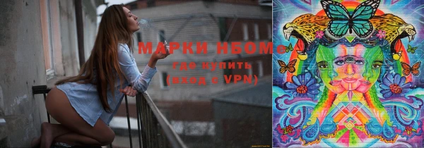 индика Нефтекумск