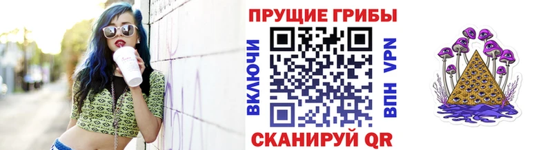 Галлюциногенные грибы Cubensis Кудымкар