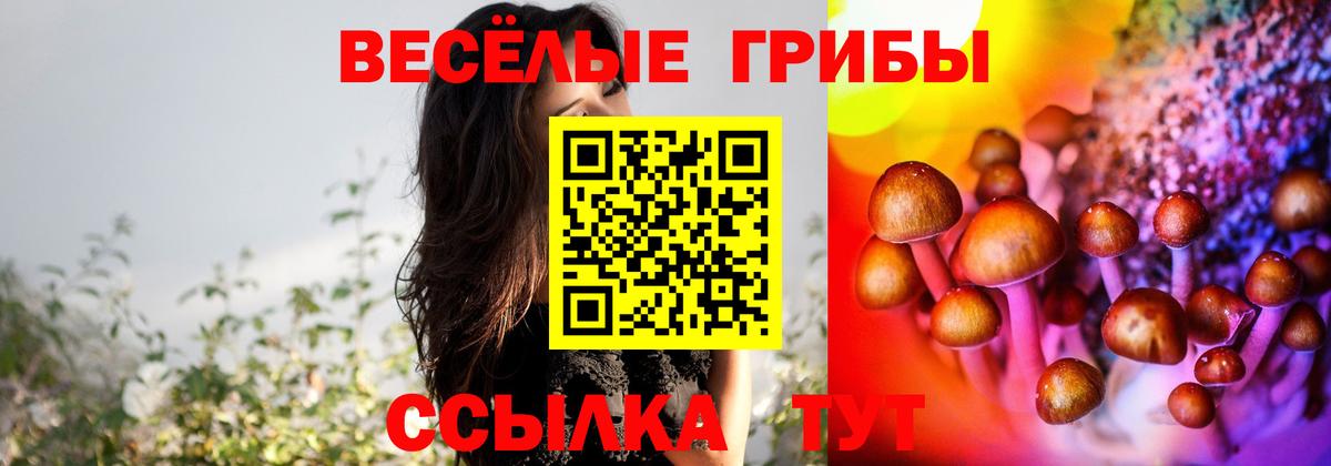 Псилоцибиновые грибы Cubensis Кудымкар